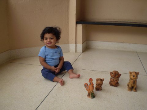 Image Image