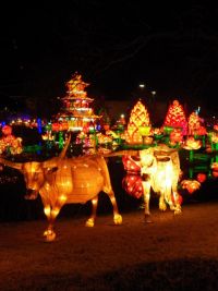 chinese_lantern_festival_12.JPG