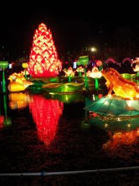 chinese_lantern_festival_16.JPG