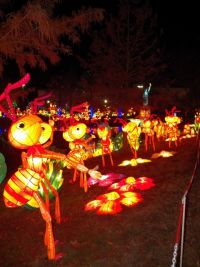 chinese_lantern_festival_18.JPG