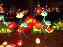 chinese_lantern_festival_19.JPG