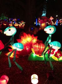 chinese_lantern_festival_2.JPG