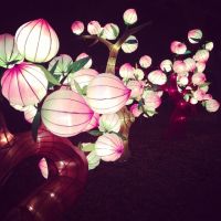 chinese_lantern_festival_24.JPG