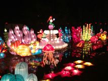 chinese_lantern_festival_26.JPG
