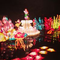 chinese_lantern_festival_27.JPG